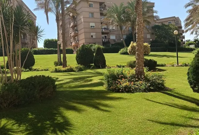 112701532 - Property Image 3