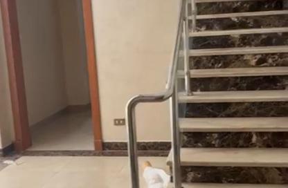 Duplex - 3 Bedrooms - 3 Bathrooms for rent in Eastown - 5th Settlement Compounds - The 5th Settlement - New Cairo City - Cairo
