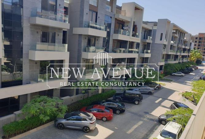 63393159 - Property Image 3