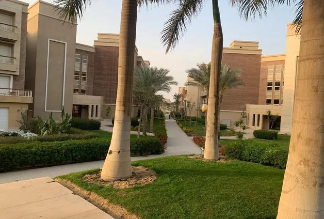 103479726 - صورة العقار 3