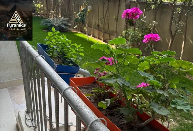 114882959 - Property Image 3
