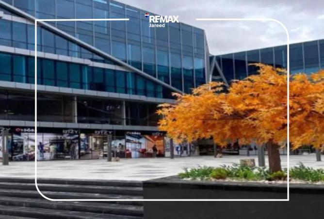 64651237 - صورة العقار 3