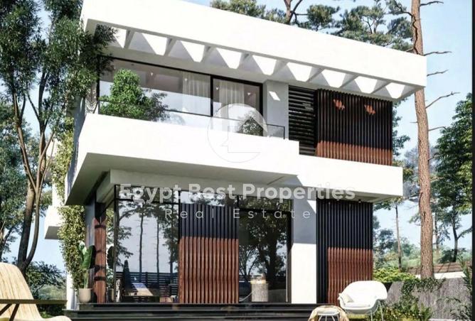 56506355 - Property Image 2