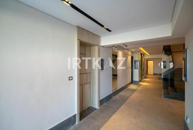 52186532 - Property Image 2