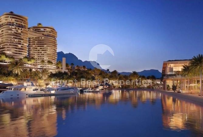 8703356 - صورة العقار 2