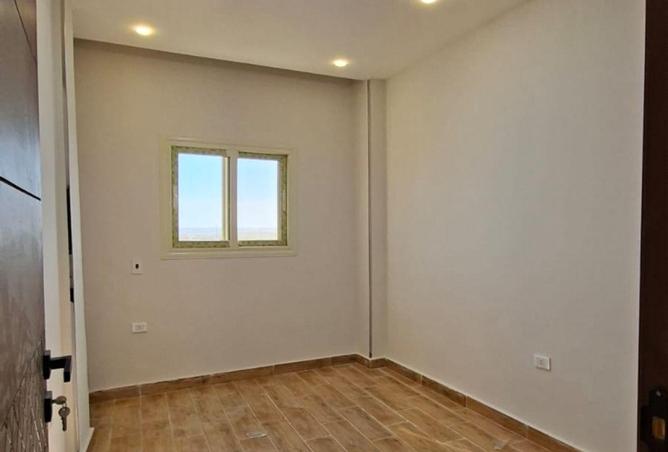 53988263 - Property Image 3