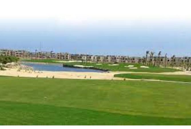 81058681 - صورة العقار 3