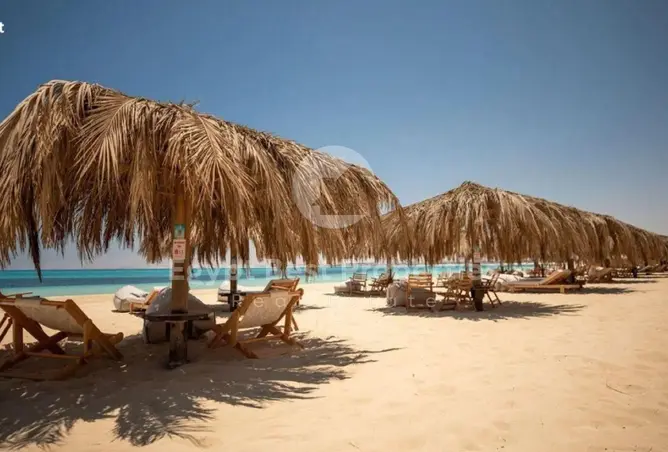 109927764 - صورة العقار 2