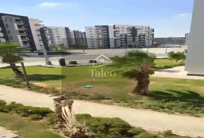116498522 - صورة العقار 3