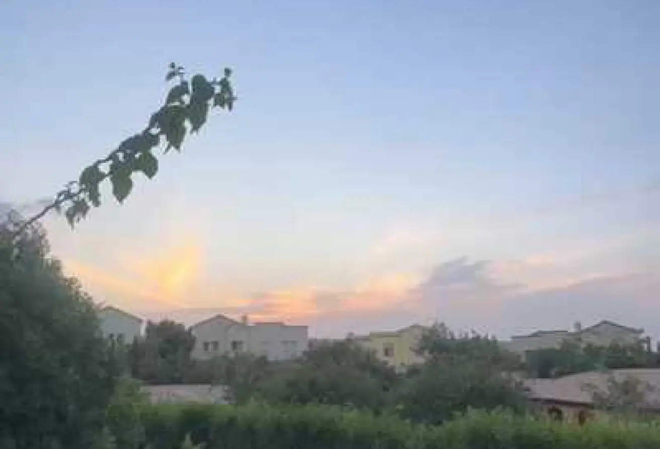 116739862 - الصورة الرئيسية للعقار