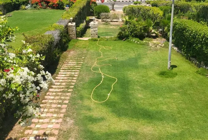109911419 - Property Image 3