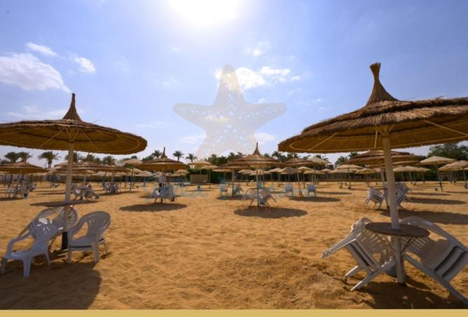 84513384 - صورة العقار 3