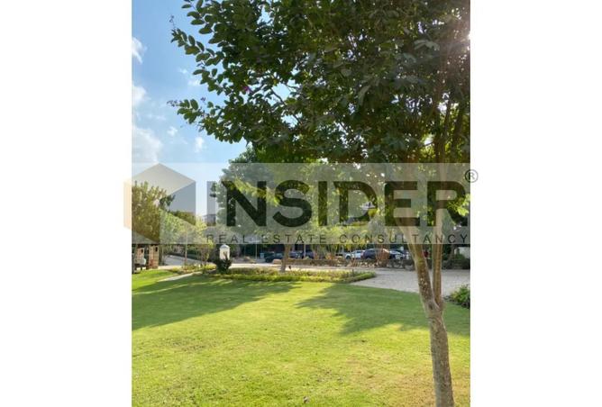 8482839 - صورة العقار 3