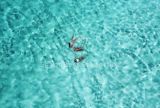 8698431 - الصورة الرئيسية للعقار