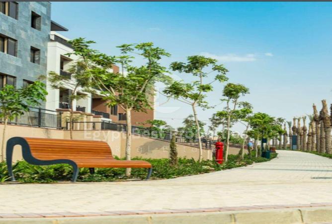 55506396 - Property Image 2