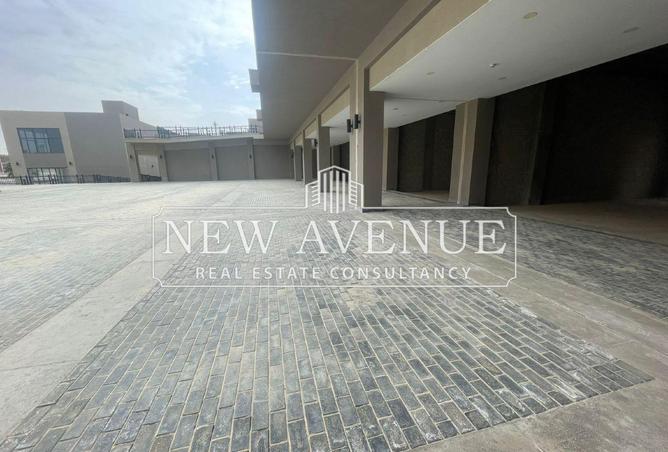 57235445 - Property Image 2