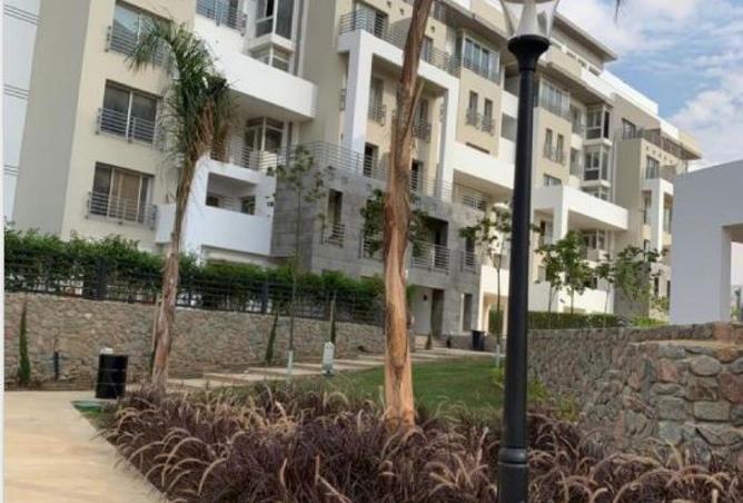 55508245 - Property Image 3