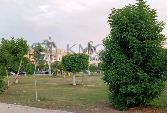 114900539 - صورة العقار 3