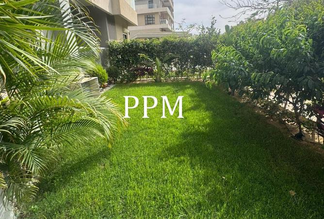 83410880 - Property Image 3