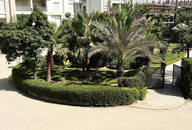 90997708 - Property Image 3