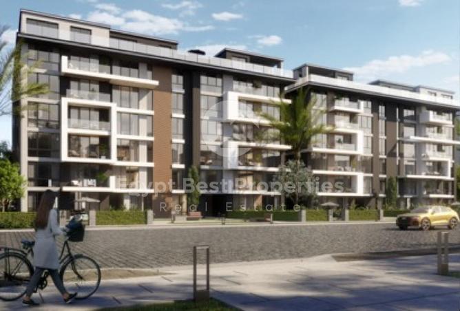 8633920 - Property Image 3