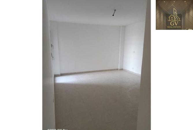 53985512 - Property Image 3