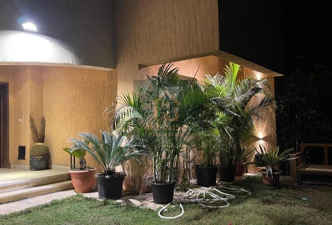 64908448 - صورة العقار 2