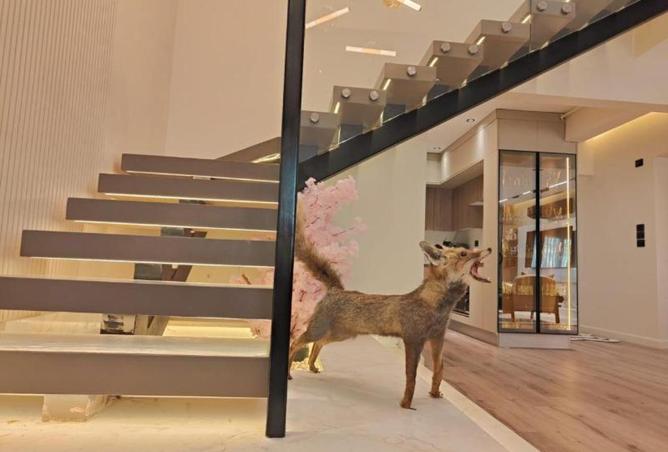 8605035 - صورة العقار 2