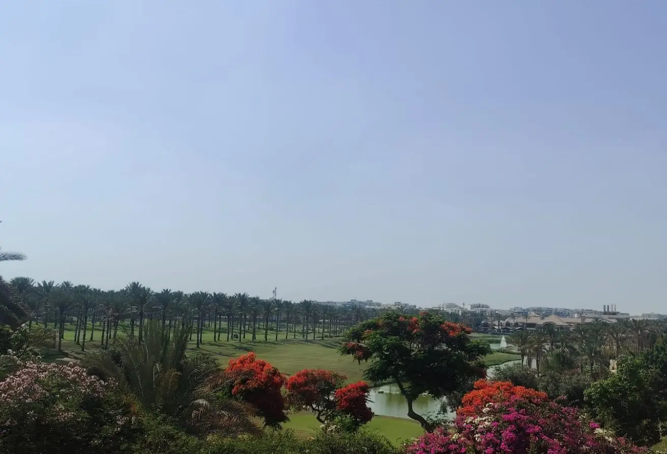 116744244 - الصورة الرئيسية للعقار