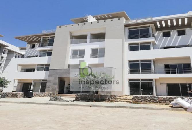 61696004 - Property Image 3