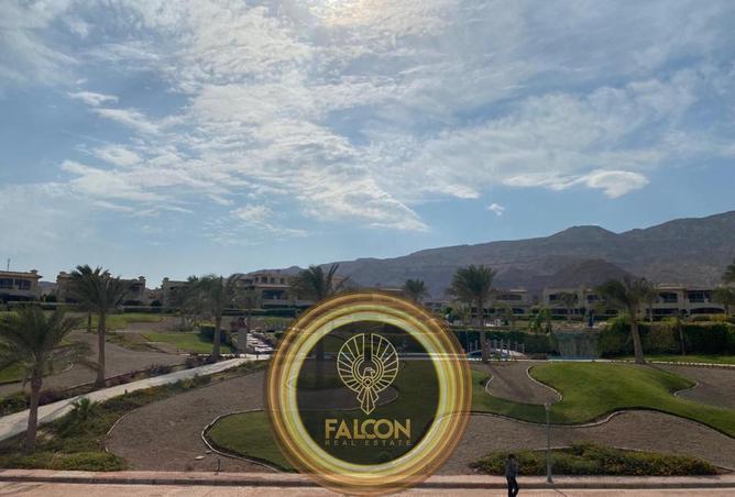 57252183 - Property Image 3