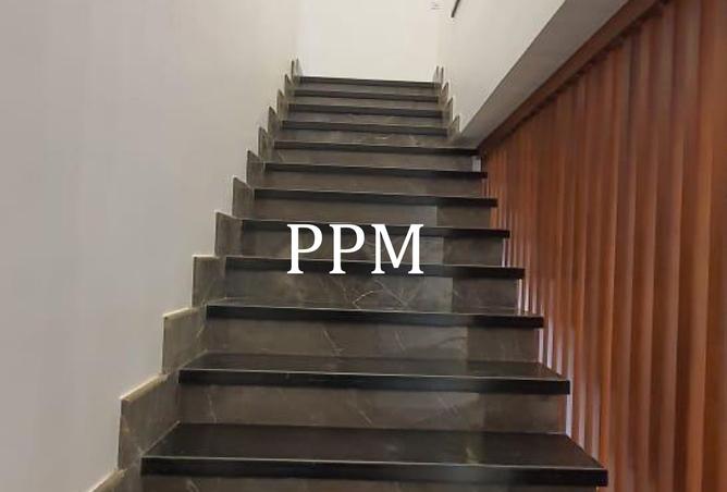 8424010 - صورة العقار 2