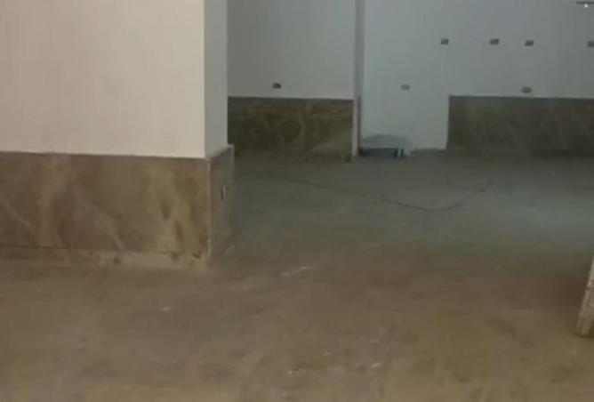 8591081 - Property Image 2