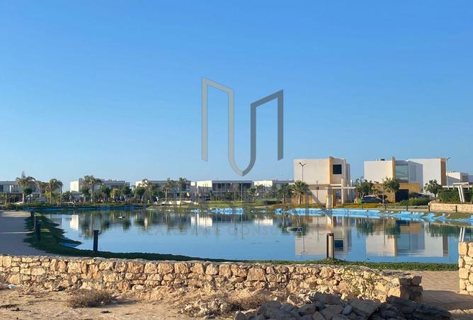 84254967 - Property Image 3