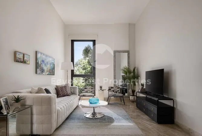 116493812 - Property Image 2