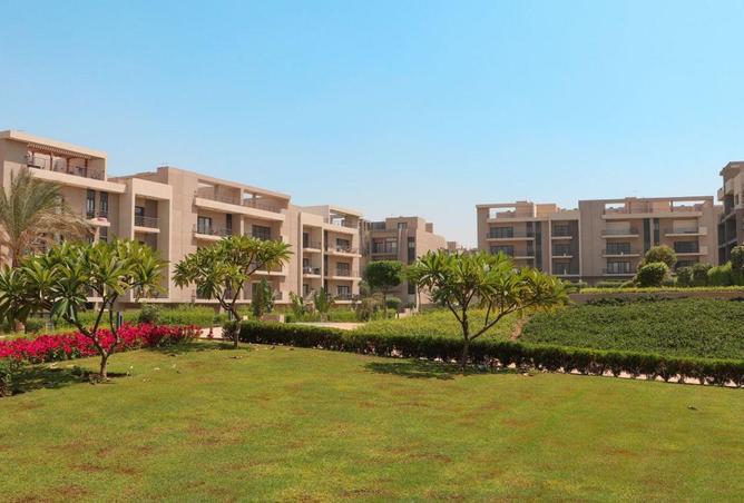 64380580 - Property Image 3