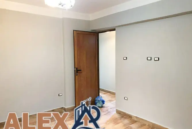 116756997 - Property Image 3