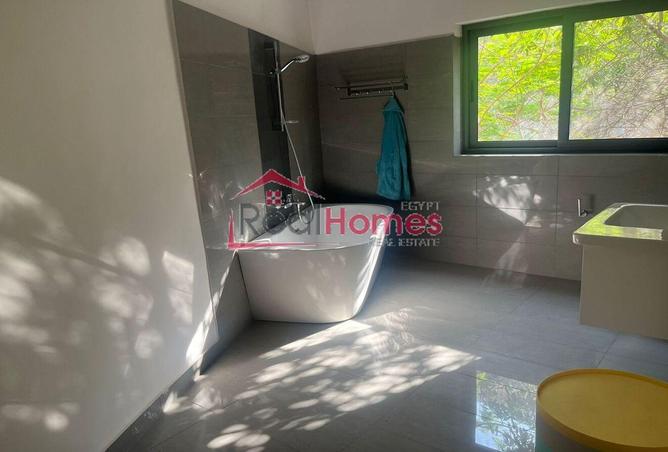 57232895 - Property Image 3