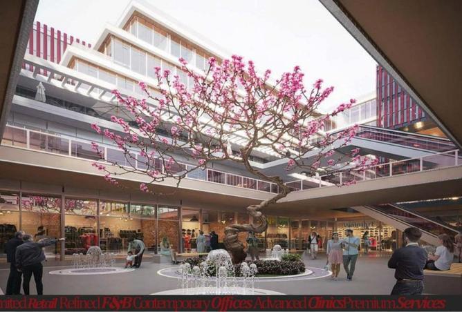 58981391 - صورة العقار 3