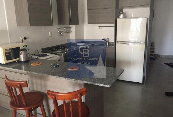 66954246 - Property Image 3