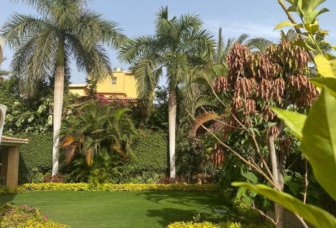 53729142 - Property Image 2