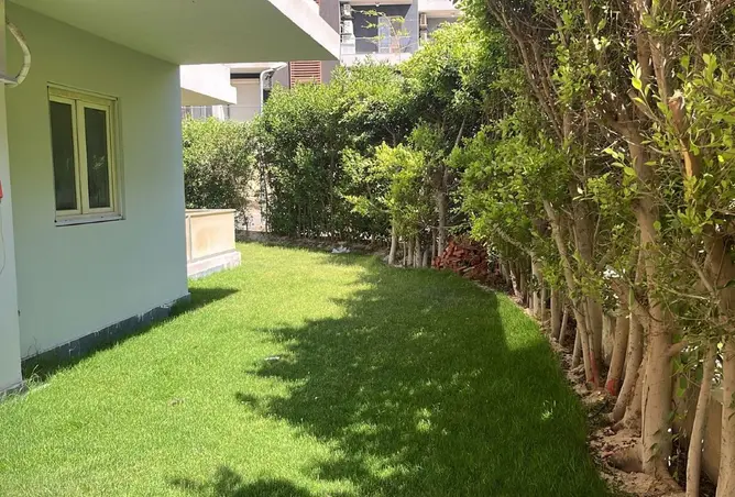 113534020 - Property Image 3