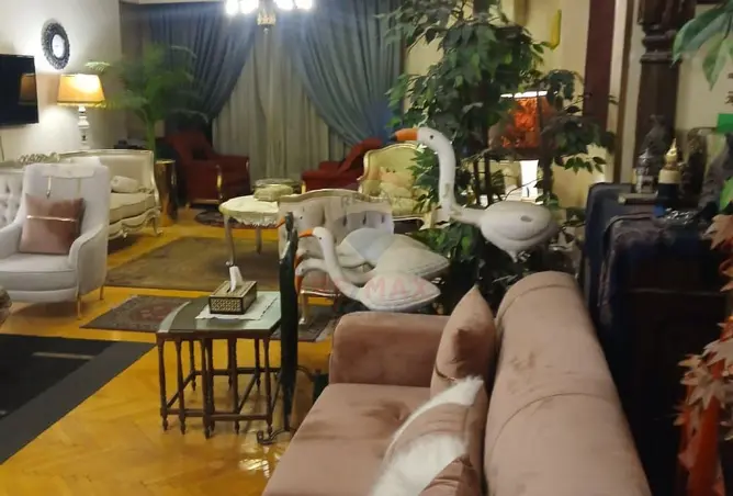 116496769 - صورة العقار 3