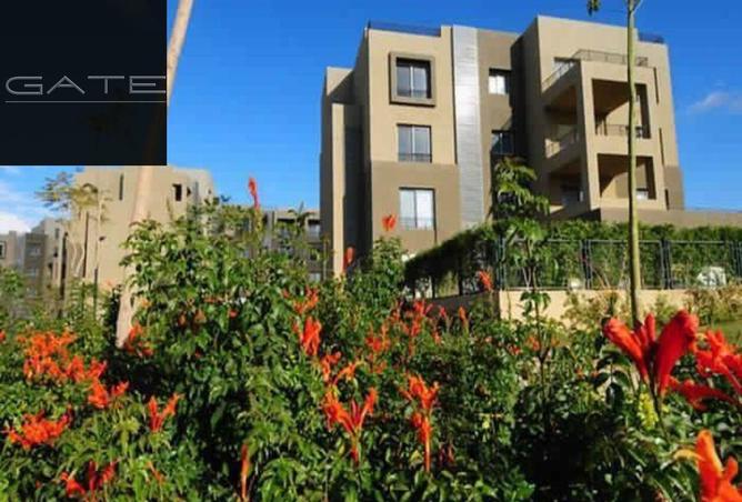 54234498 - Property Image 3