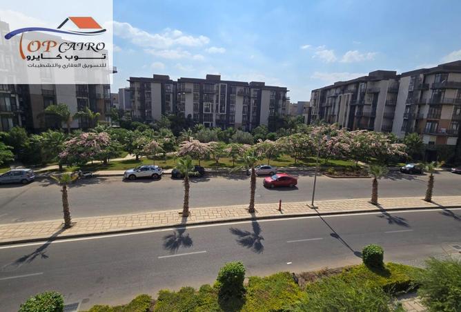 95466754 - Property Image 3