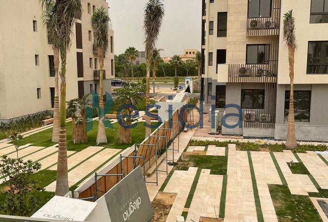 55755629 - صورة العقار 2