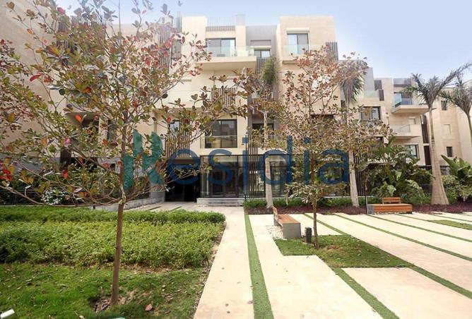 55755629 - صورة العقار 3