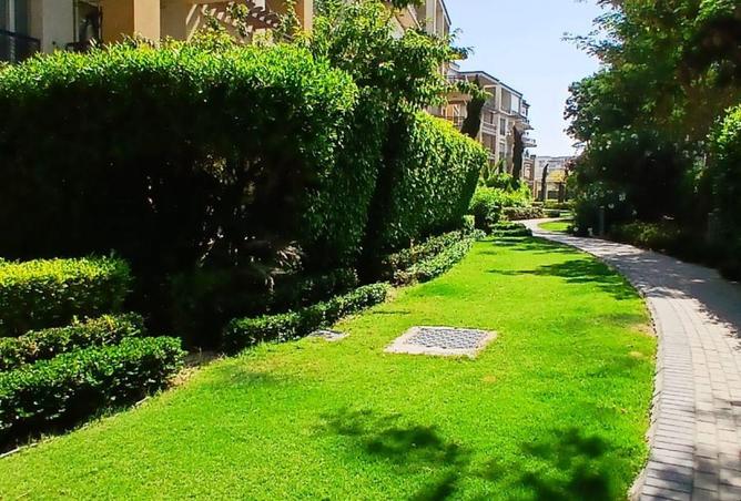 8535529 - صورة العقار 2