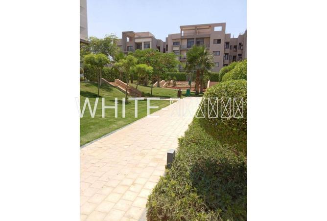 69570758 - Property Image 2