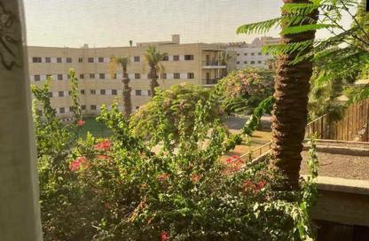 Apartment - 2 - 1 for rent in Dokki - Giza